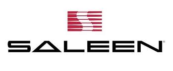 SaleenLogo.jpg